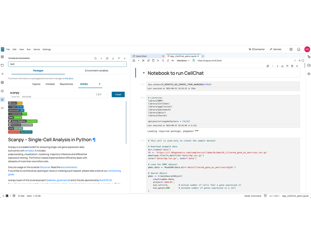 Environment Manager