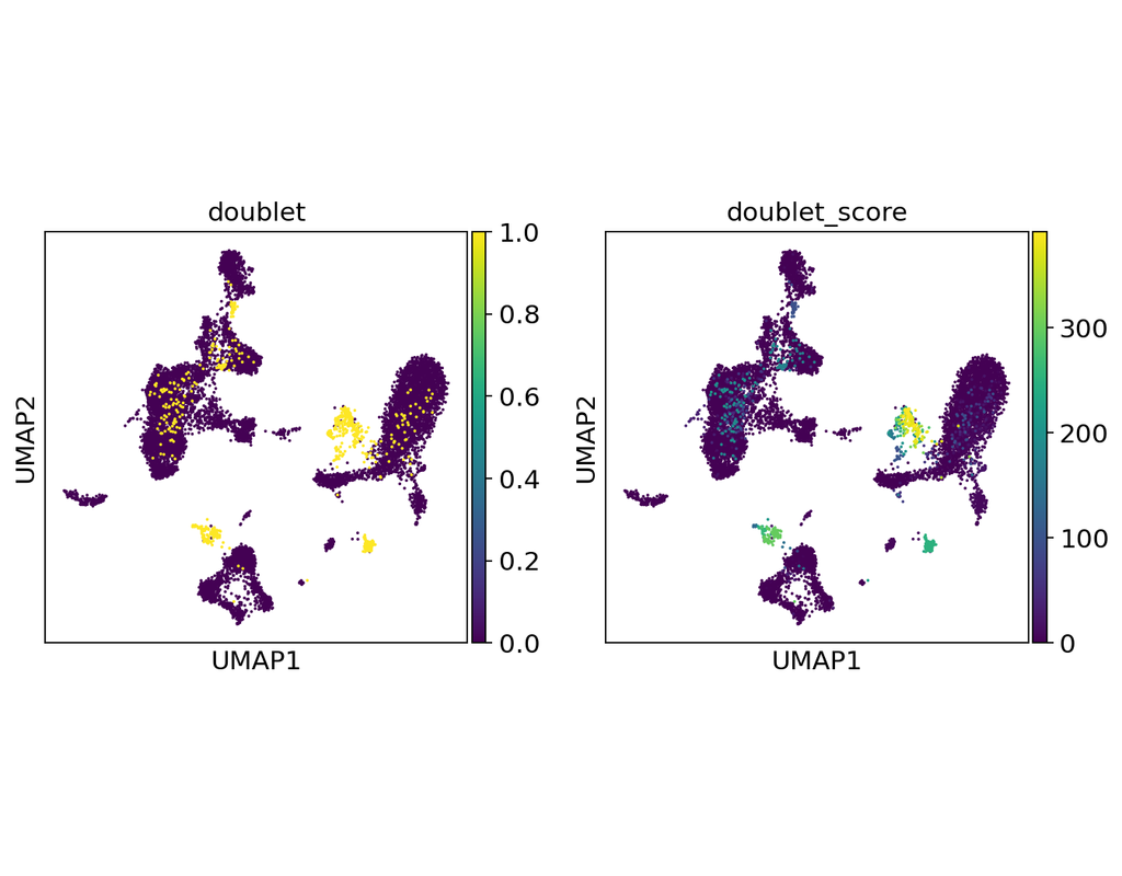 Doublet Detection: Detect doublets (technical errors) in single-cell RNA-seq count matrices