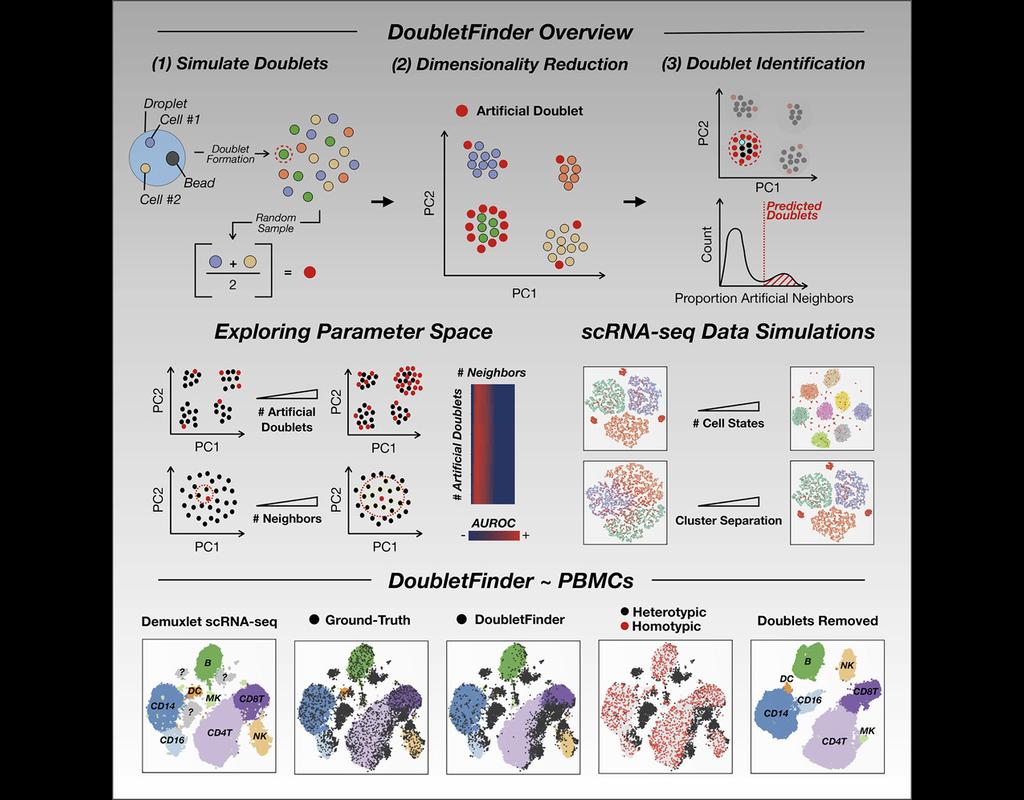 DoubletFinder: Doublet detection in single-cell RNA sequencing data using artificial nearest neighbors