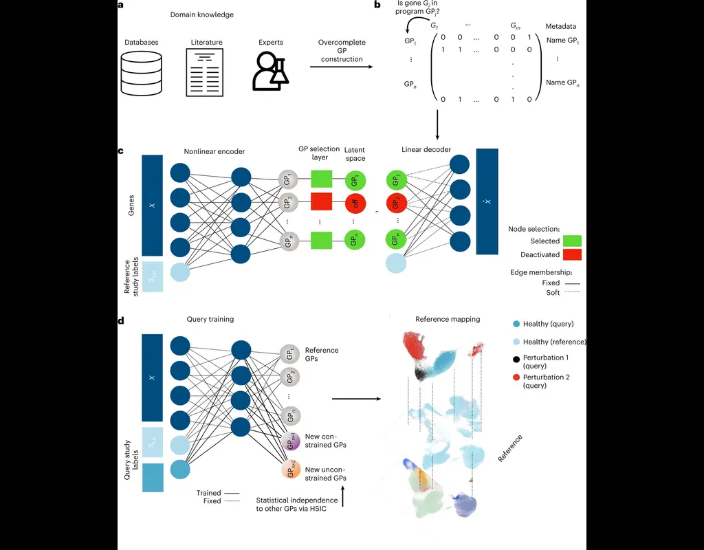 expiMap: Biologically informed deep learning to query gene programs in single-cell atlases