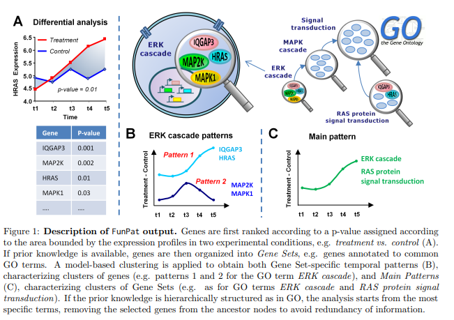 FunPat: Function-based Pattern analysis on RNA-seq time series data