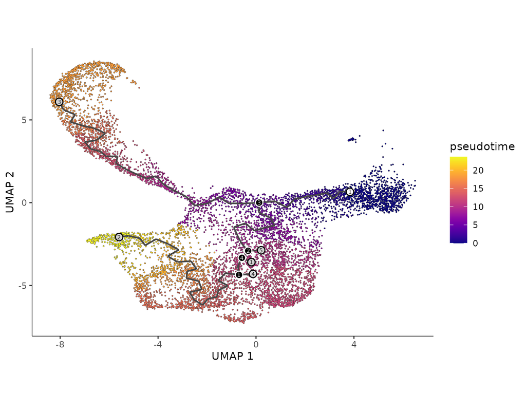 Monocle3 - An analysis toolkit for single-cell RNA-seq