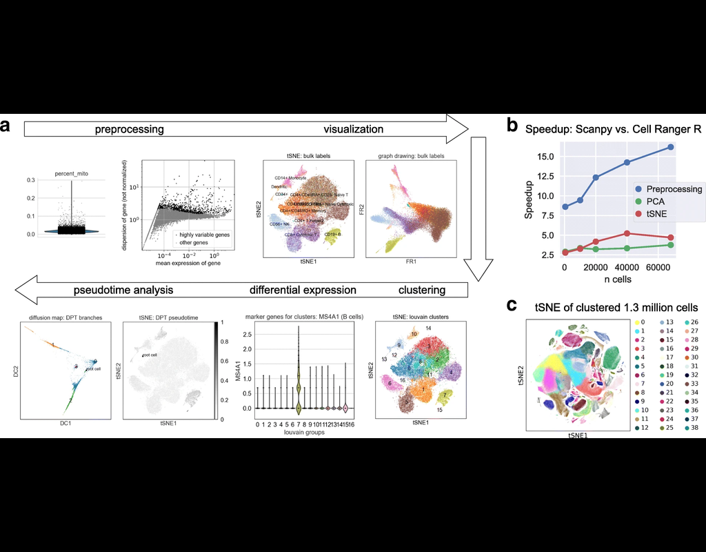 Scanpy is a scalable toolkit for analyzing single-cell gene expression data built jointly with anndata.
