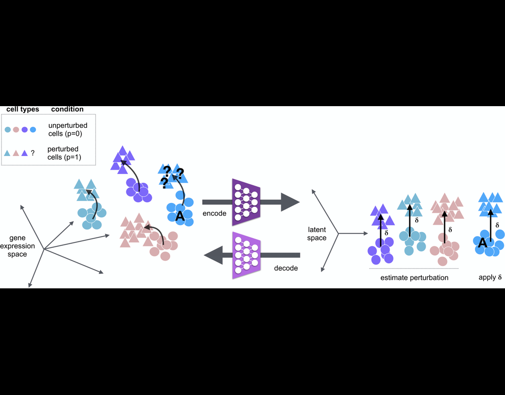 scGen: Single cell perturbation prediction