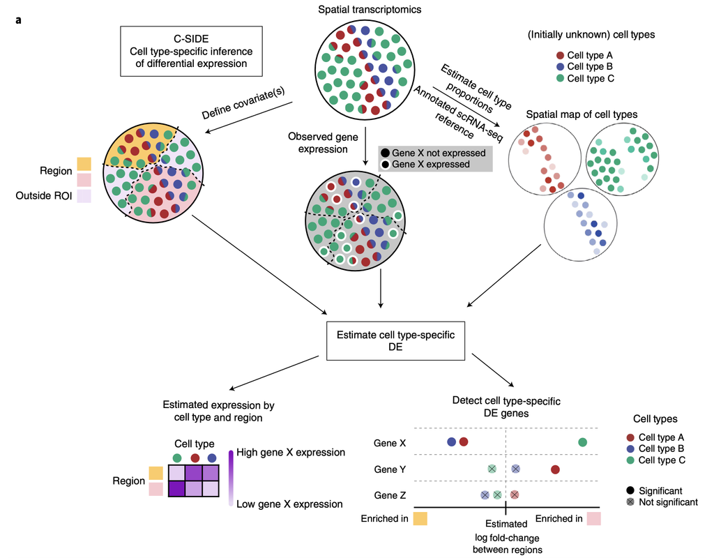 spacexr: Robust Cell Type Decomposition and Cell type-Specific Inference of Differential Expression