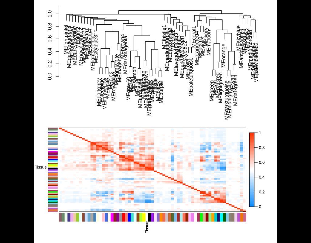 WGCNA: an R package for Weighted Gene Correlation Network Analysis