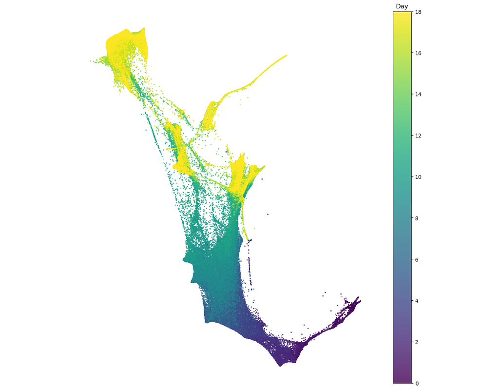 WOT (Waddington-OT): A software package for analyzing snapshots of developmental processes