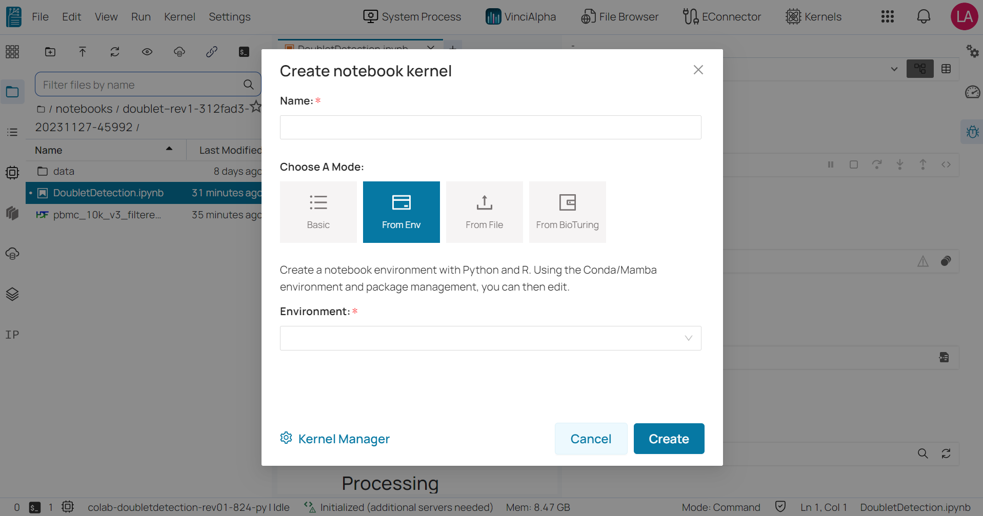 Create notebook kernel - from environment